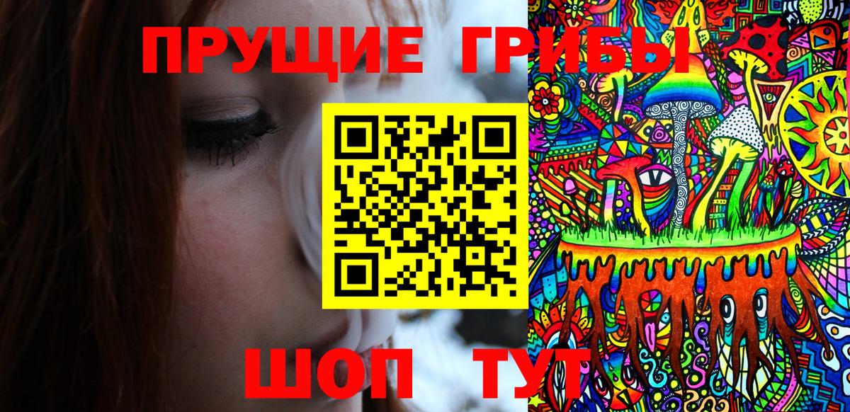 закладка  Псилоцибиновые грибы мицелий  Вход с VPN  Димитровград 